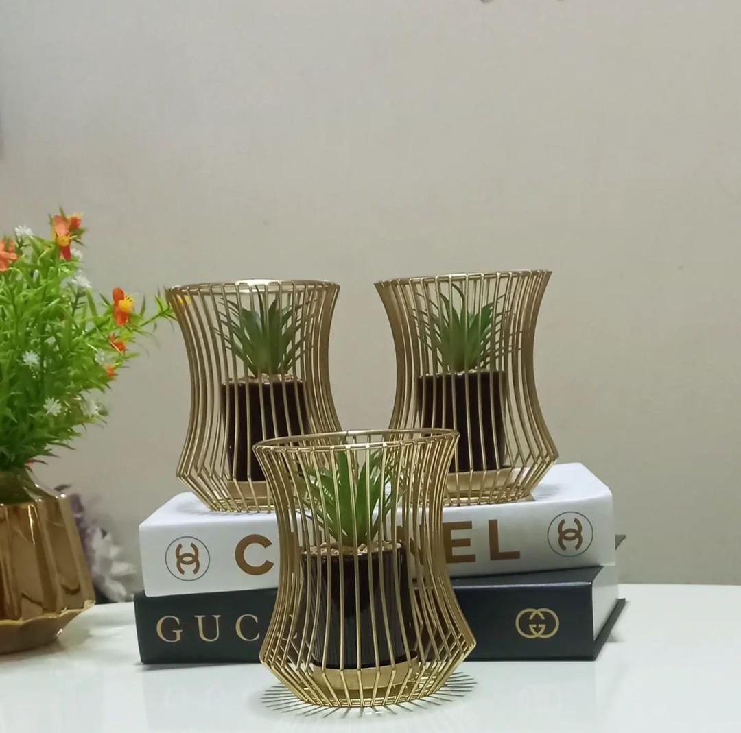 Metal Frame Succulent Planter