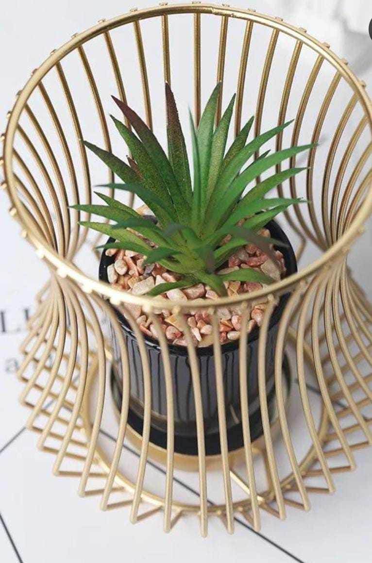 Metal Frame Succulent Planter